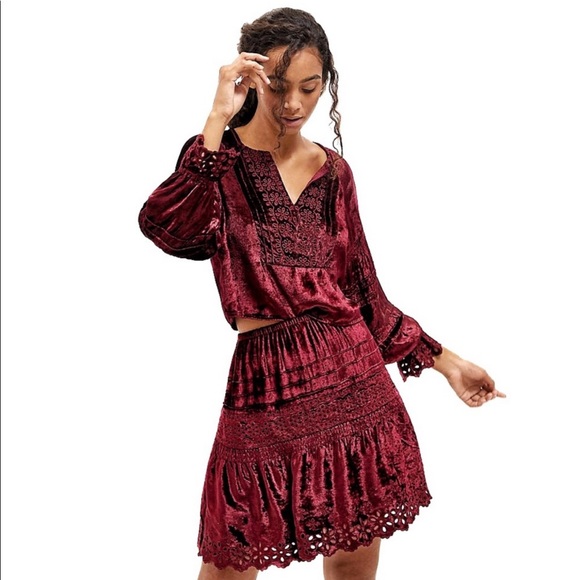 Anthropologie Cherie Eyelet Velvet Mini Skirt - Picture 4 of 8